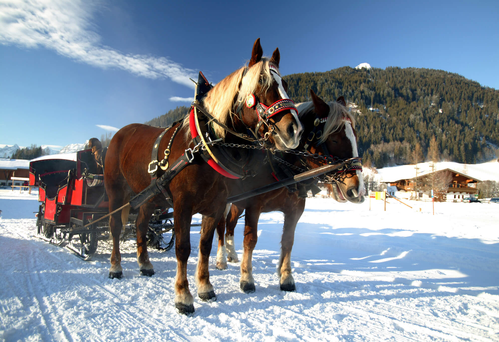 Gutwenghof Familyresortkutsche Werfenweng