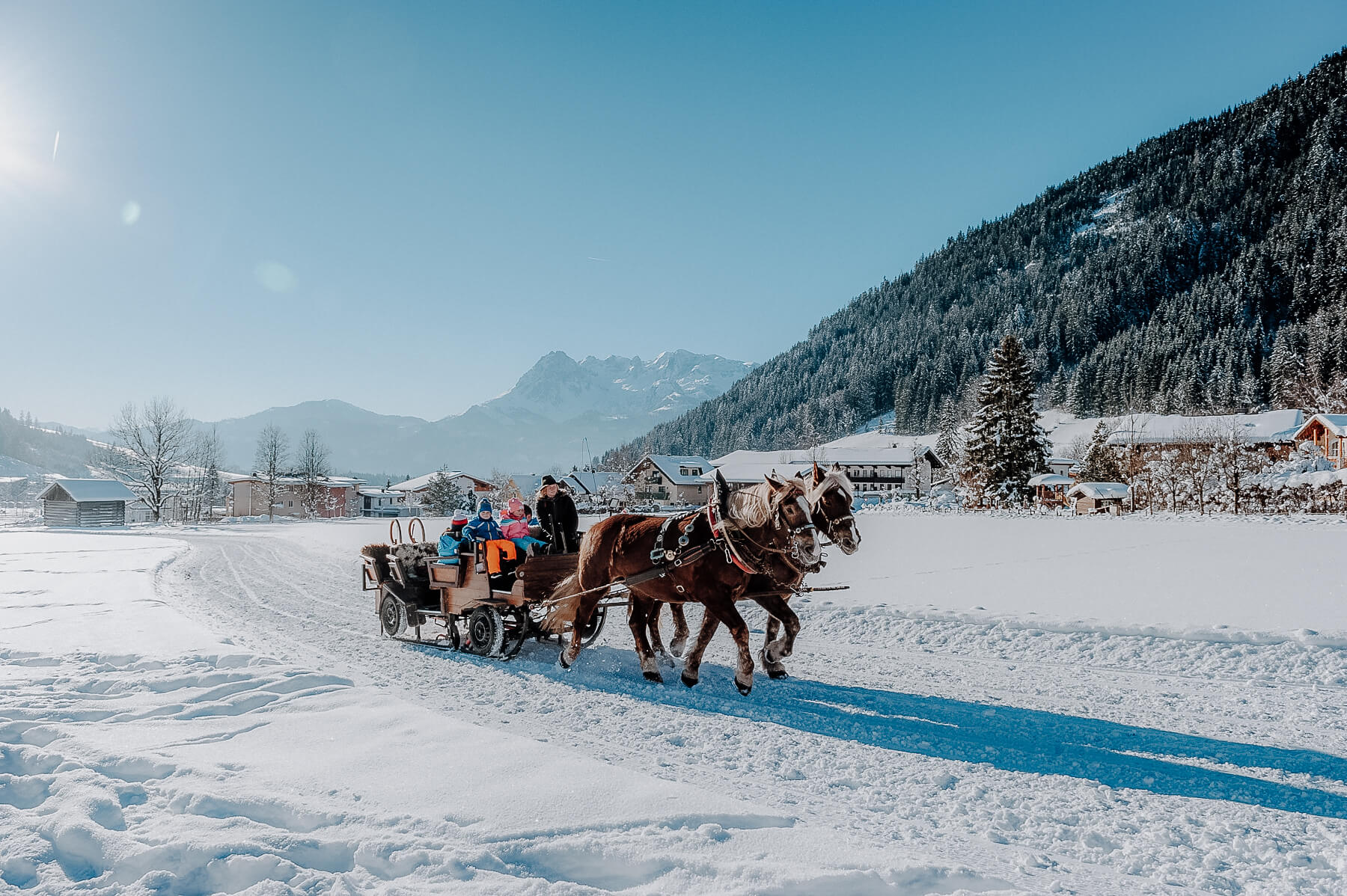 Gutwenghof Familyresortwerfenweng Winter Pferdeschlitten