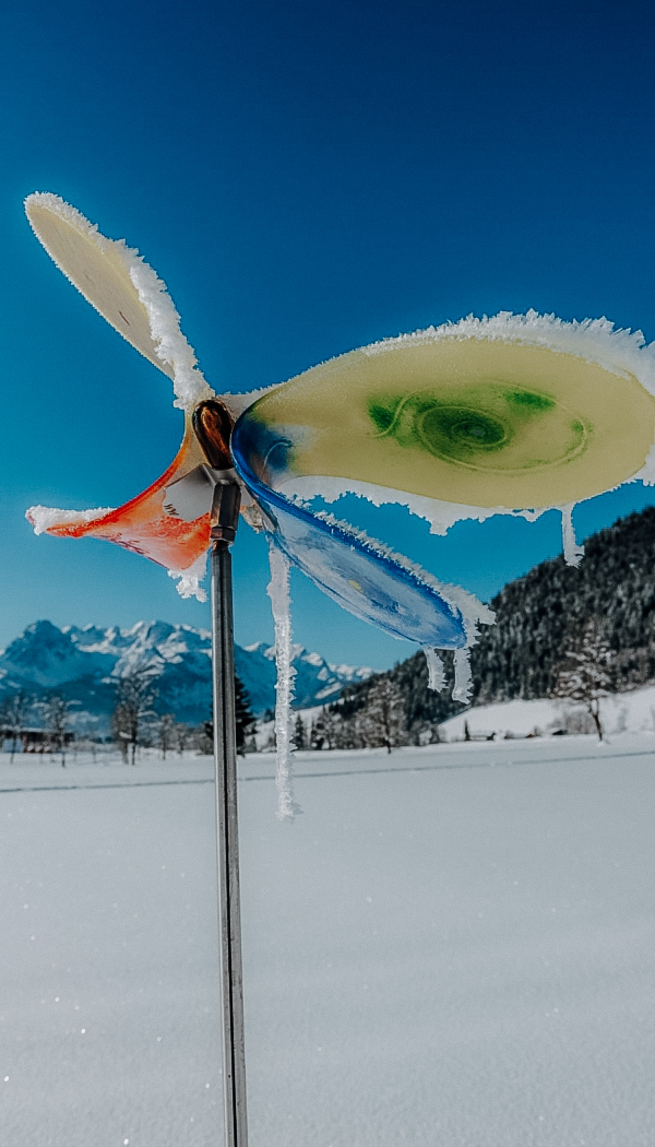 Gutwenghof im Winter - Spazierhimmel